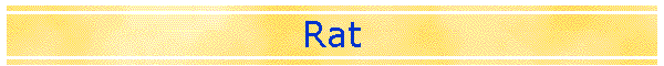 Rat